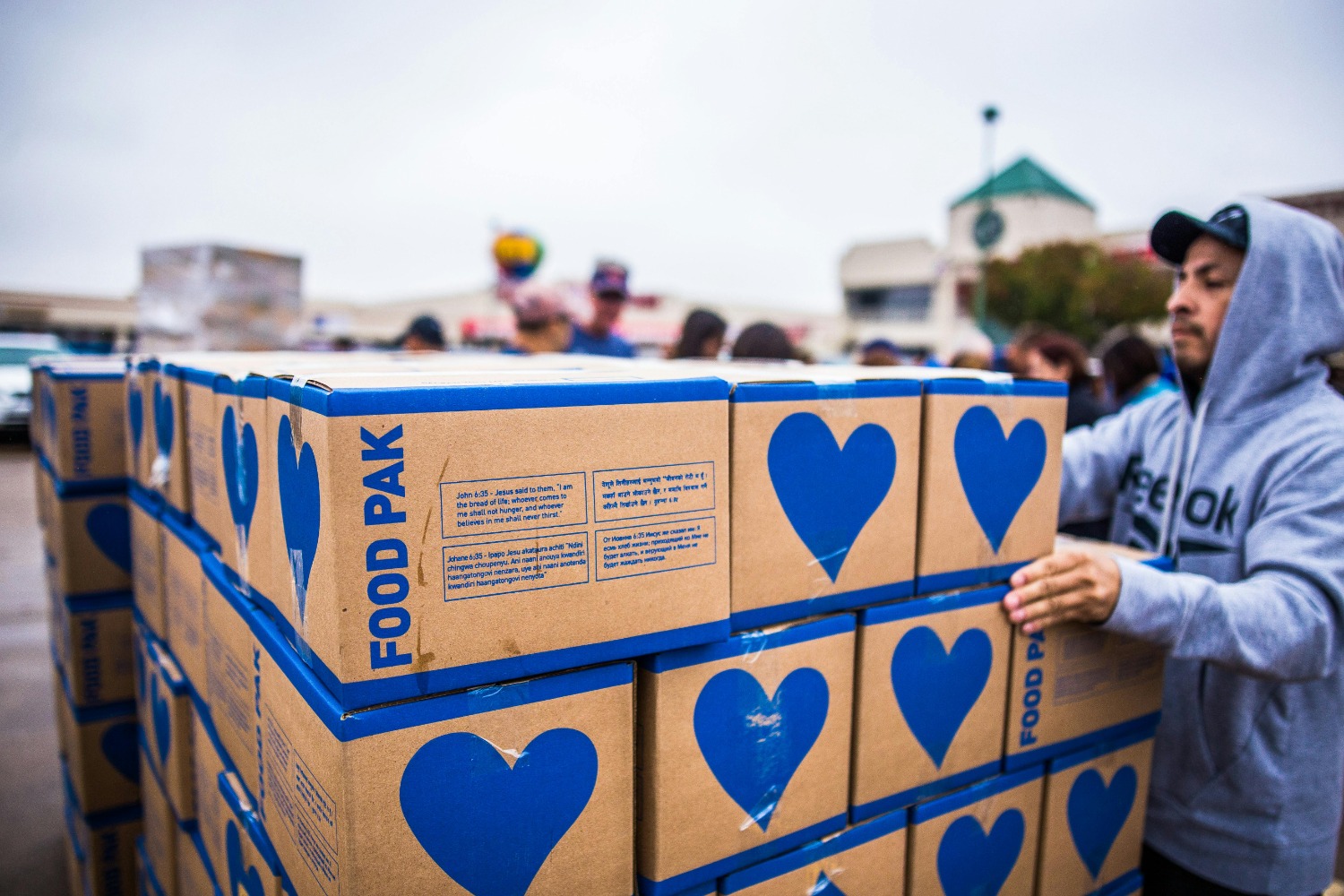 Donación de libros para bibliotecas escolares