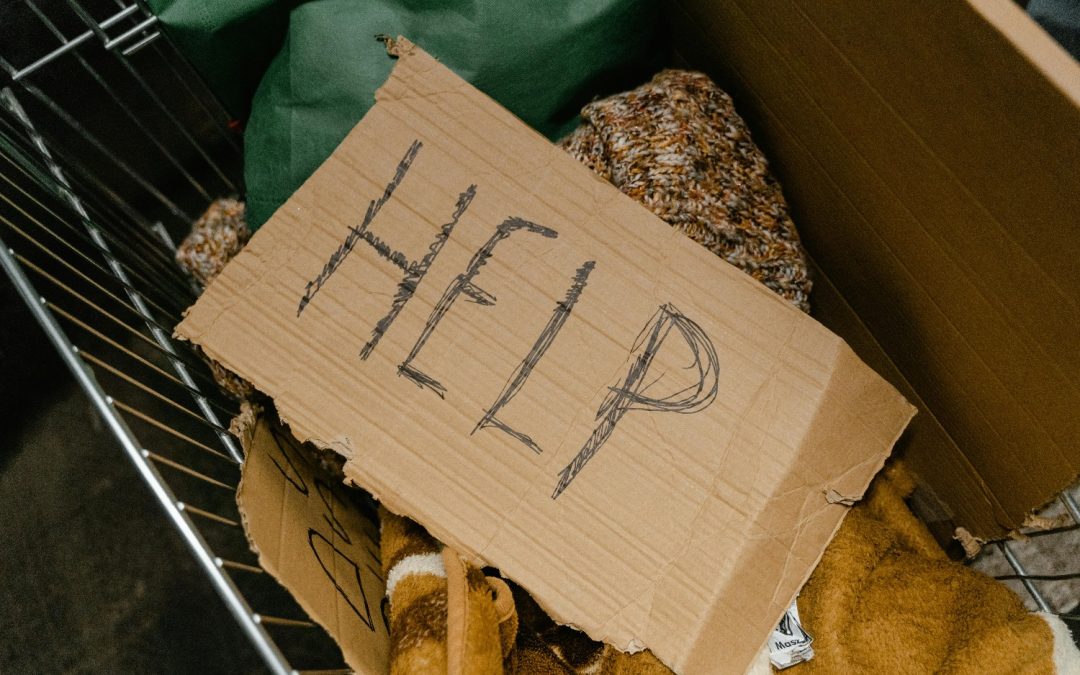 Donaciones: ¡Ayudar es fácil y divertido!